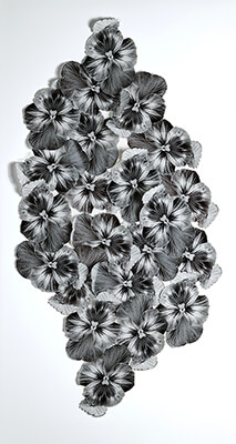 photo collage, Corsage, by Adrienne Moumin.